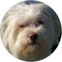 Bianka Schley profile picture